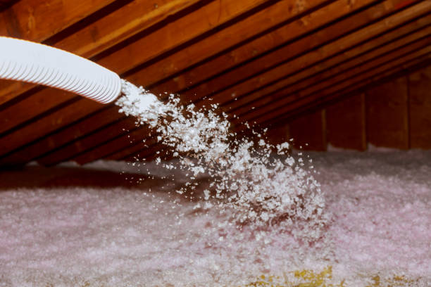 Best Insulation Maintenance and Repair in French Lick, IN